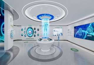 宝山区银渐层猫咪定制选购表