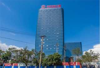 山东质量黄花菜性价比