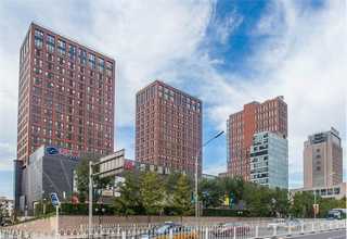 长宁区酒店绿植花卉租赁品牌