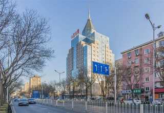 地肤花种种植方法